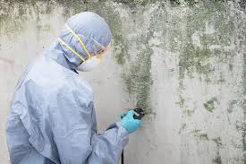 Best Forensic Mold Investigation  in New Sarpy, LA